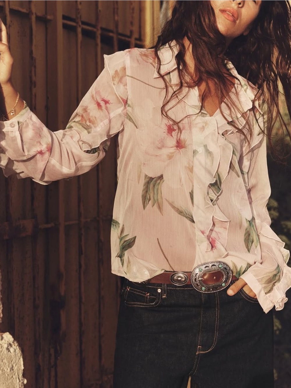 Zara Blush Sheer Floral Ruffle Blouse